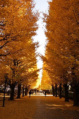 東京大学駒場キャンパス