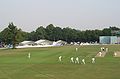 Image 27 Credit: Paddy Briggs St Lawrence Ground is the home of Kent County Cricket Club and is notable as a first-class cricket ground that has a tree within the boundary. More about St Lawrence Ground... (from Portal:Kent/Selected pictures)