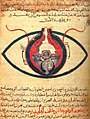 Image 4The eye according to Hunayn ibn Ishaq, c. 1200 (from Science in the medieval Islamic world)