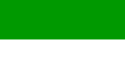 Flag of ٹونک