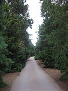 Arboretum