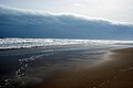 Playa de Muchavista.