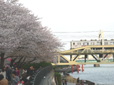 隅田公園（東京都墨田区）