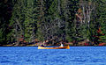 An Adirondack guideboat.