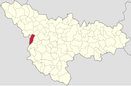 Location in Timiș County