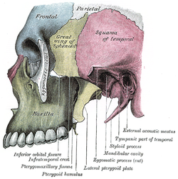 Lateral vy