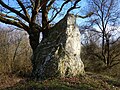 Le grand menhir des Grées en 2015.