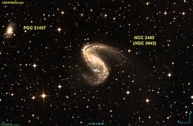 Image illustrative de l’article NGC 2442