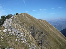 La pointe de Vélan.