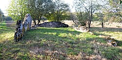 Image illustrative de l’article Dolmen de Pierre-Folle (Thiré)