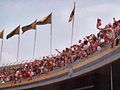 Fans von Chivas Guadalajara