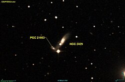 NGC 2429