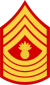 three chevrons up and four down with bursting bomb