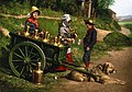 Imagine înfăţişând vânzători ambulanţi de lapte dintr-un sat belgian; şareta este tractată de câine, circa 1890 - 1900