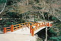 Le parc de Momijidani, sur l'île de Miyajima.