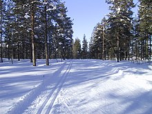 Fotografia d'una pista d'esquí de fons preparada i coberta de neu