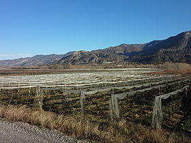 Vitrolles (Hautes-Alpes)