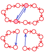 Durch die Hintereinanderausführung einer Permutation (rot) mit einer Vertauschung (blau) erhöht sich die Anzahl der Zyklen um eins, wenn die vertauschten Elemente innerhalb eines Zyklus liegen (links) und sie verringert sich um eins, wenn sie in verschiedenen Zyklen liegen (rechts).