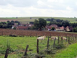 Aanzicht op het dorp Niefern binnen de gemeente Uhrwiller / Uhrweiler