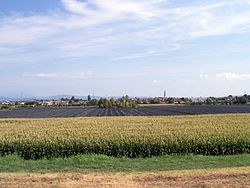 Skyline of Albaredo d'Adige