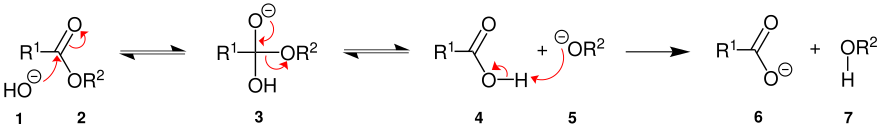 Verseifung Mechanismus