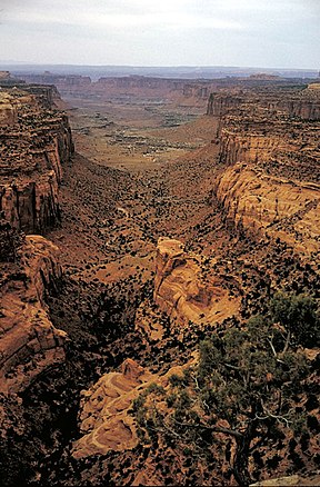 Blick vom Island In The Sky auf den White Rim