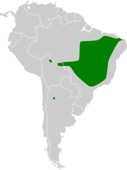 Distribución geográfica de la monterita crestada.