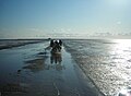 Path from Nordstrand to Südfall at low tide