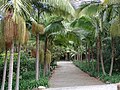 Jardín de la Marquesa de Arucas, the Botanical Garden in Arucas.