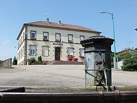 Town hall and school