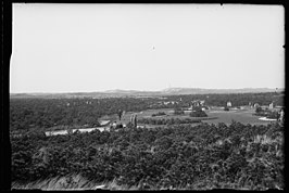 De Donkere Duinen in 1931