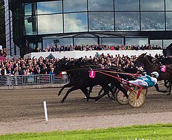 Elitloppet 2015.jpg