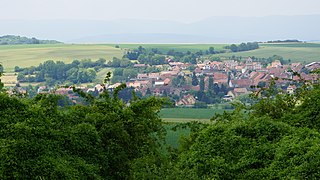 Vue sur Willgottheim du Dattenberg.