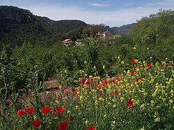 View of La Farena village