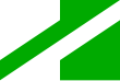 Vlag