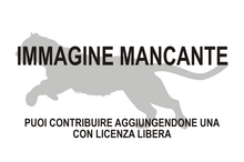 Immagine di Oligobunis mancante