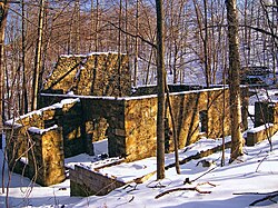 Industrial remnants are surrounded by forest in Paradise Township