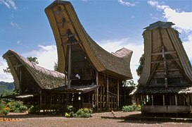 Tongkonan houses of the Toraja people, with the distinctive saddleback roofs reminiscent of boats[185]