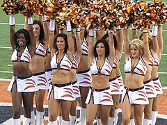 Bengals Cheerleaders.