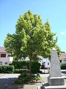 Goethe-Linde mit Denkmal in der Ortsmitte