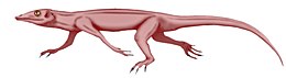 Heleosaurus scholtzi, реконструкція