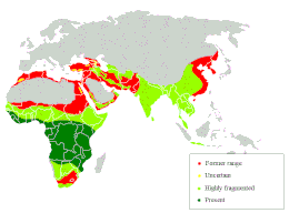 Distribución del lleopardu