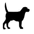 Миниатюра для версии от 06:08, 6 июня 2009