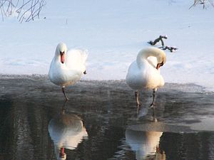 Der Winter hat ganz schön lange gedauert und ist sehr kalt gewesen.