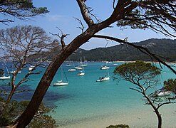 La plage de la Courtade, sur l'île de Porquerolles à Hyères.