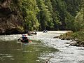 Rafting cerca de Napplach