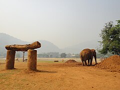 Elephant Nature Park, April 2024