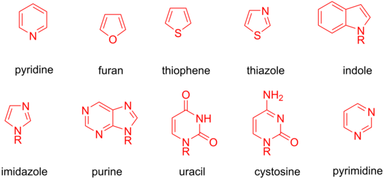 Variedad de heterocycles cuáles pueden experimentar adición