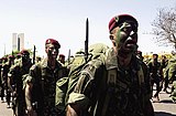 Brazilian Army paratroopers with FN FAL rifles with Type C socket bayonets on parade.