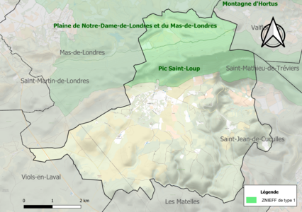 Carte des ZNIEFF de type 1 sur la commune.